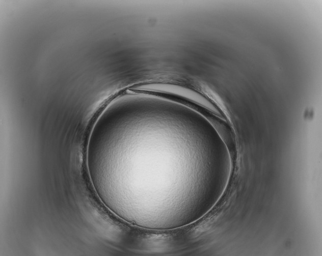X0000089360059200706221209