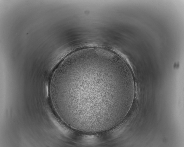 X0000089360061200706221209