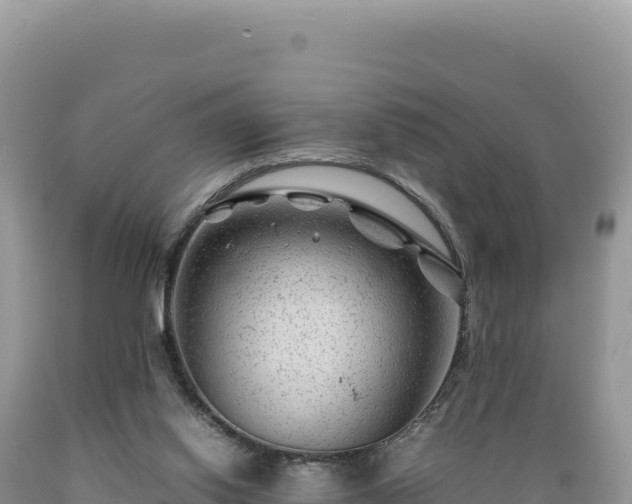 X0000089360062200706221209