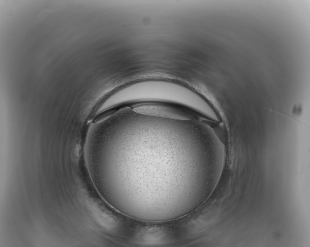 X0000089360063200706221209
