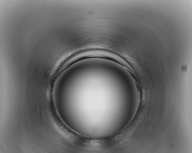 X0000089360064200706221209