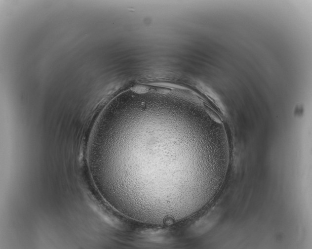 X0000089360065200706221209