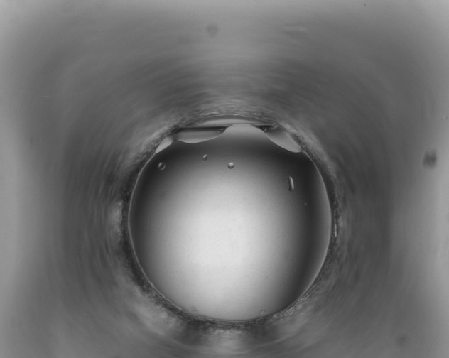 X0000089360066200706221209