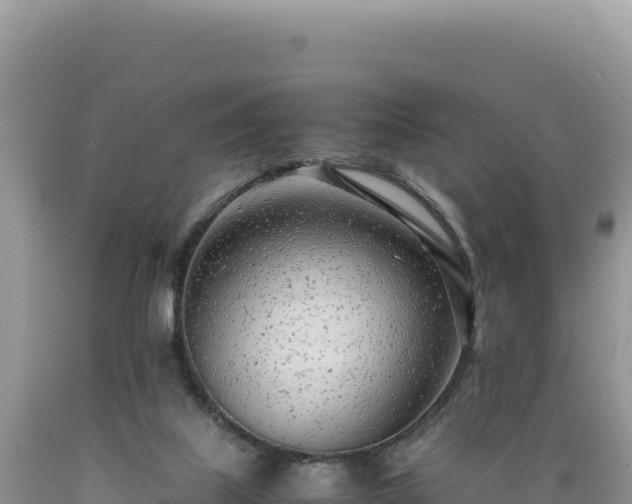 X0000089360067200706221209