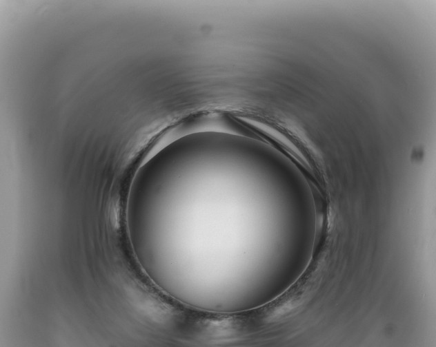 X0000089360068200706221209