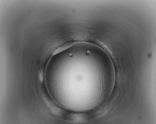 X0000089360069200706221209