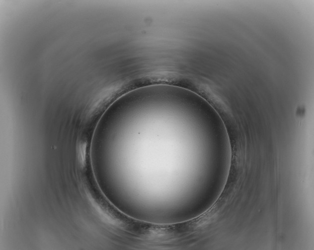 X0000089360070200706221209