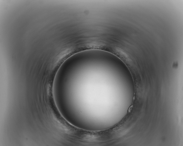 X0000089360071200706221209