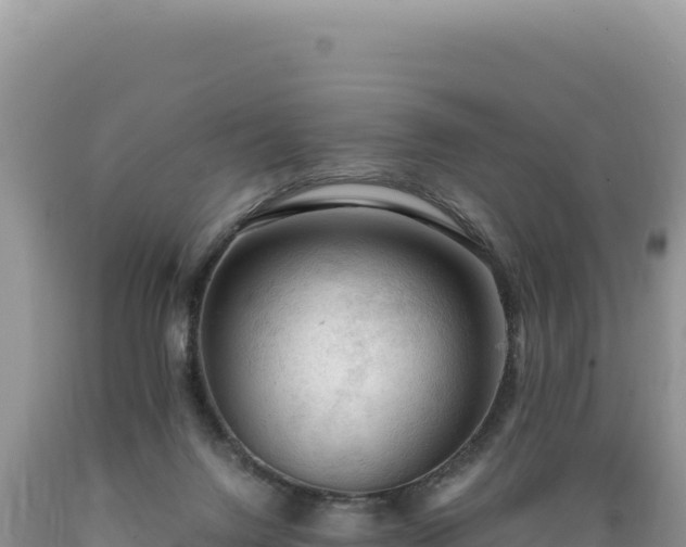 X0000089360072200706221209