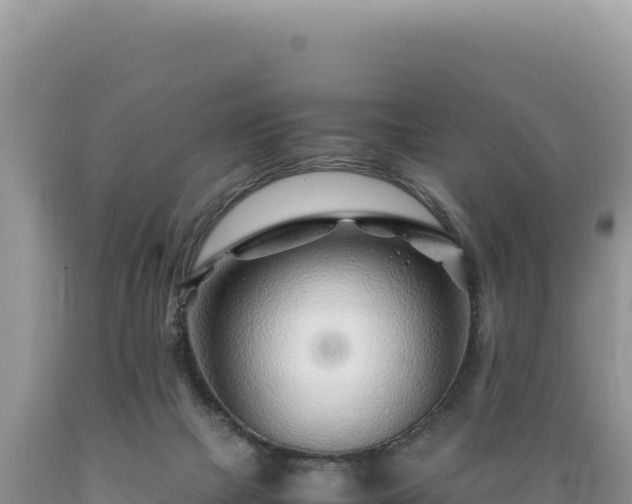 X0000089360073200706221209