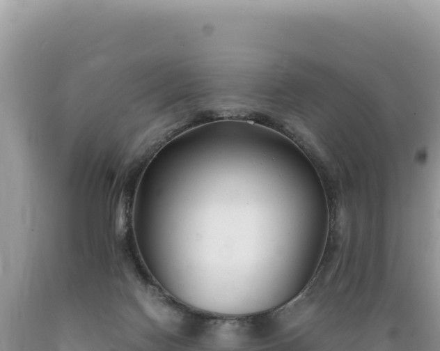 X0000089360074200706221209