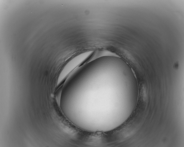 X0000089360076200706221209