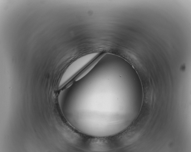 X0000089360077200706221209