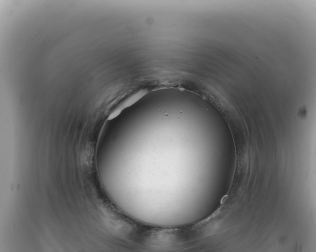 X0000089360078200706221209