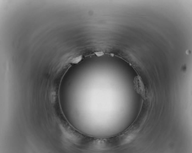 X0000089360080200706221209