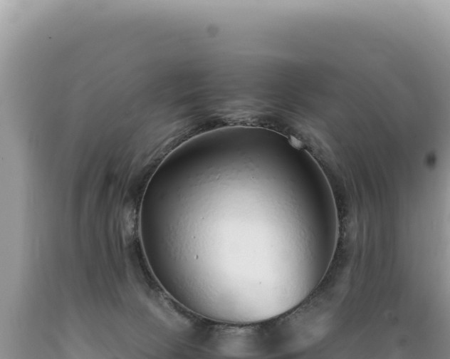 X0000089360081200706221209