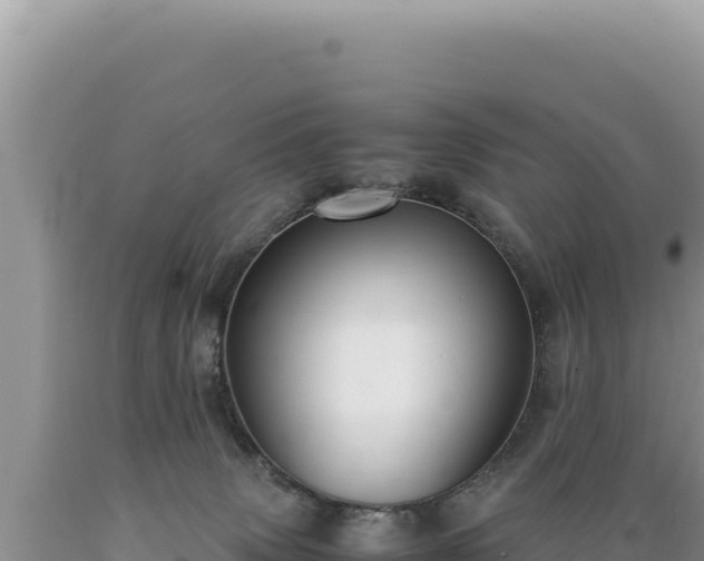 X0000089360083200706221209