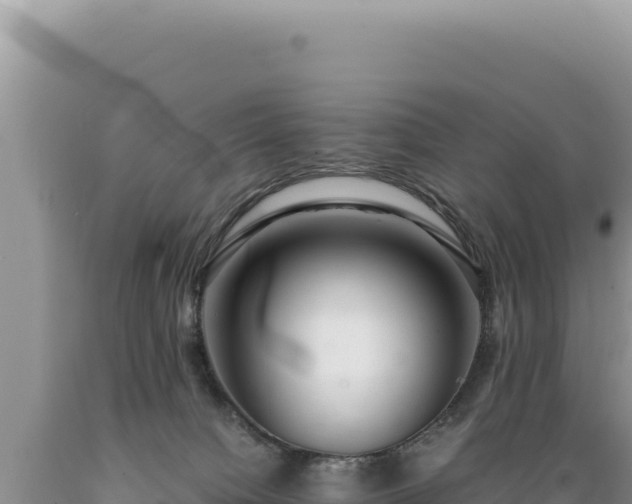 X0000089360084200706221209