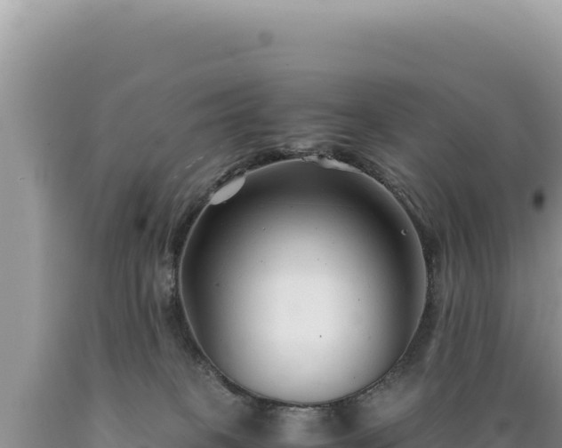 X0000089360085200706221209