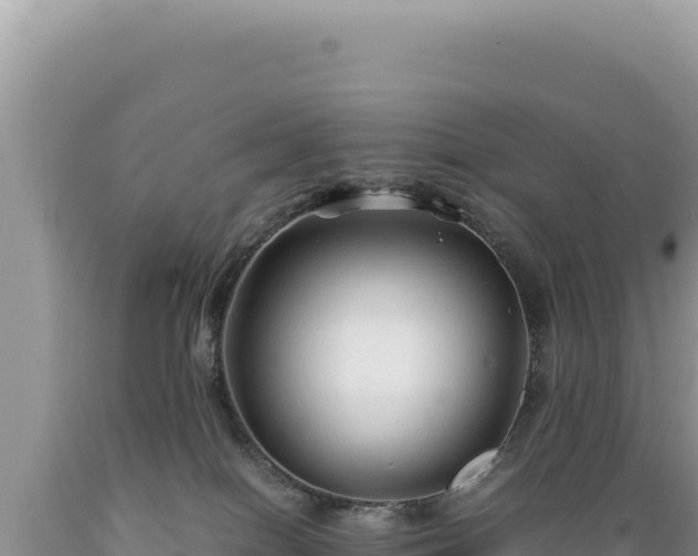 X0000089360086200706221209