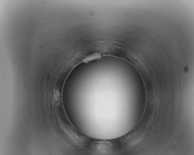X0000089360087200706221209