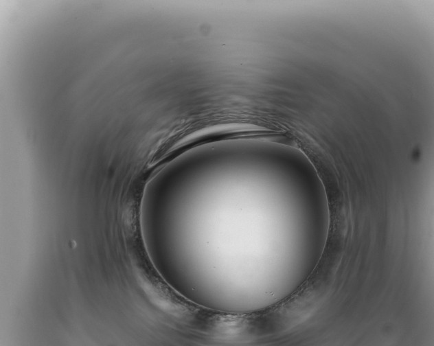 X0000089360088200706221209