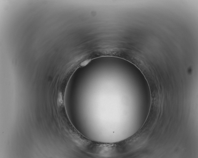 X0000089360089200706221209