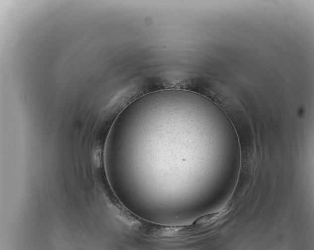 X0000089360090200706221209