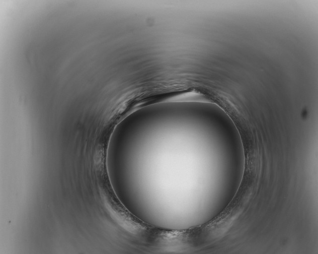 X0000089360092200706221209