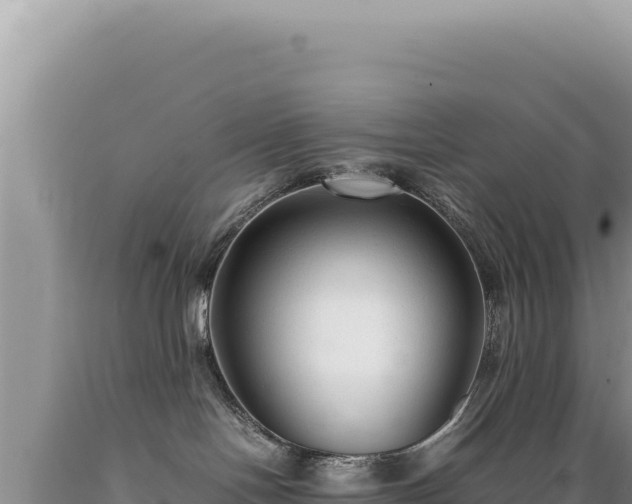 X0000089360094200706221209