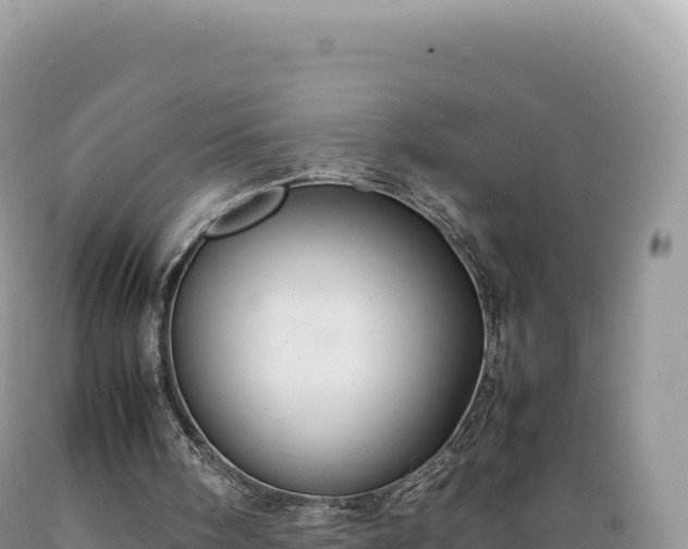 X0000089360098200706221209