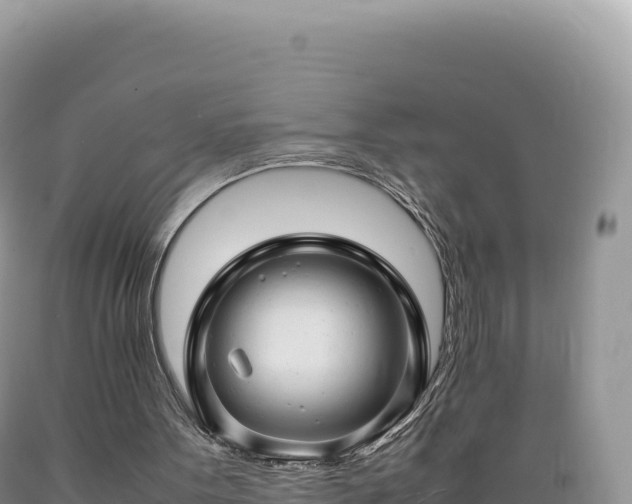 X0000089360099200706221209