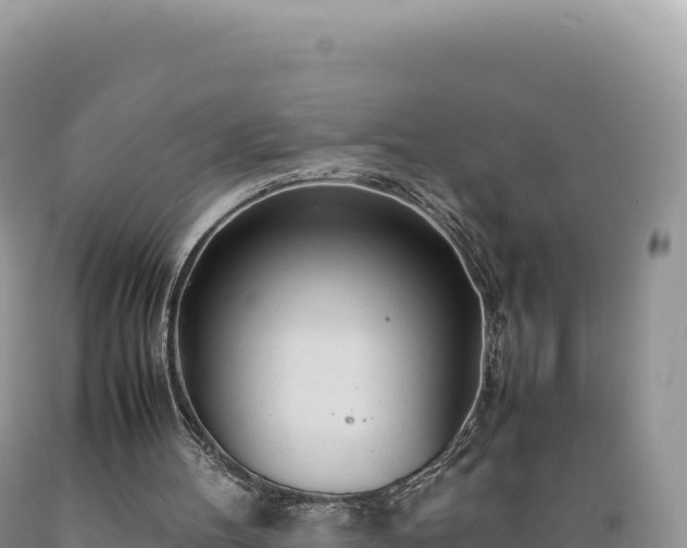 X0000089360100200706221209