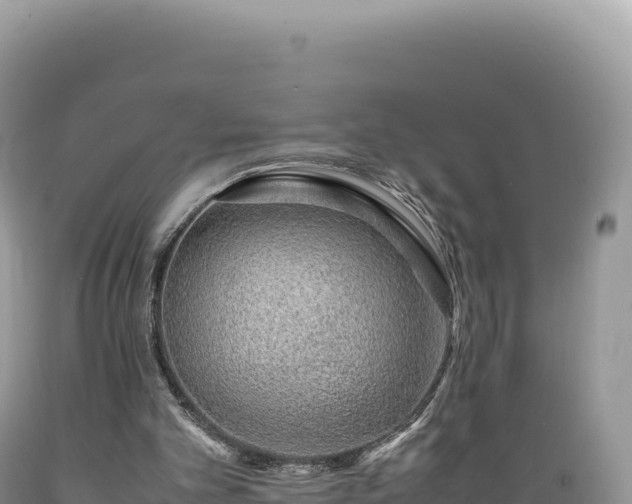 X0000089360101200706221209