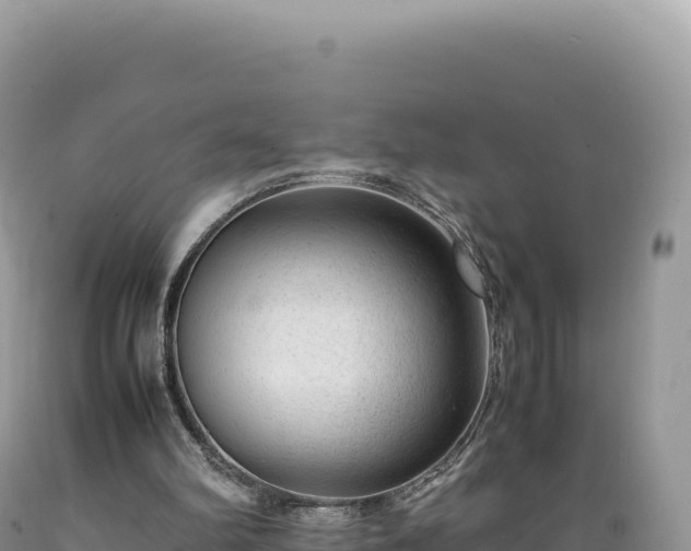 X0000089360102200706221208
