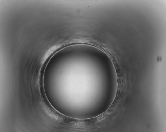 X0000089360104200706221208