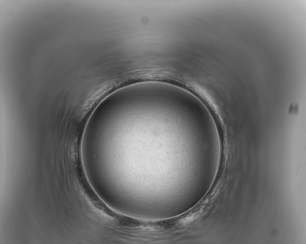 X0000089360105200706221208