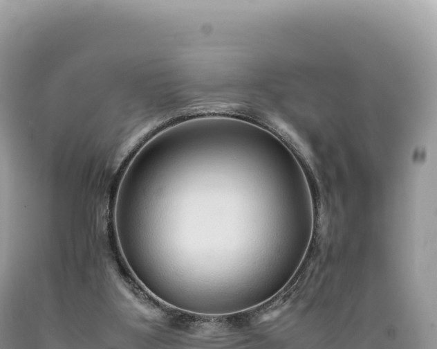 X0000089360107200706221208