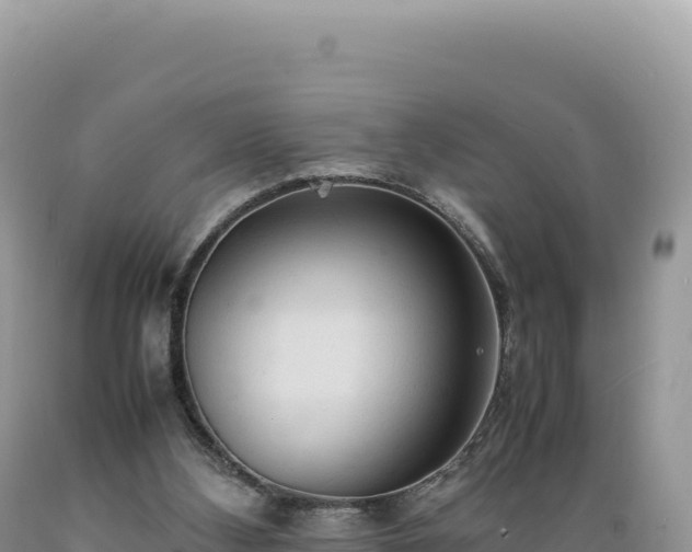 X0000089360108200706221208