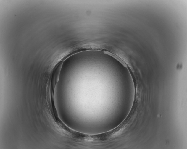 X0000089360109200706221208