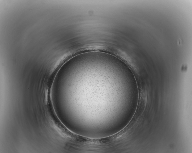 X0000089360110200706221208
