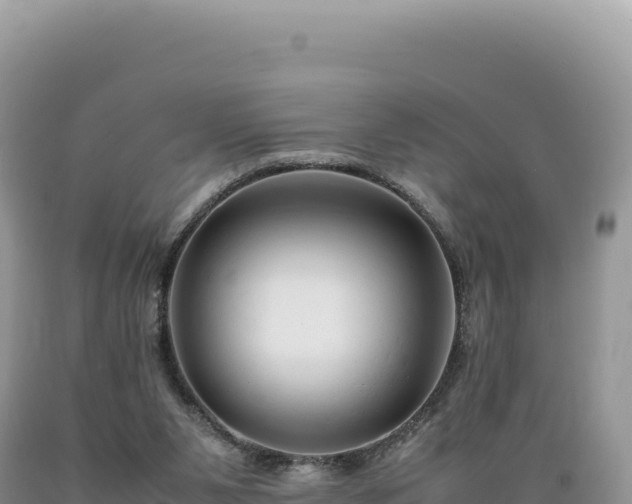 X0000089360111200706221208