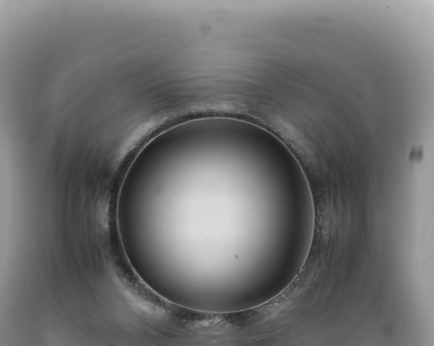 X0000089360112200706221208