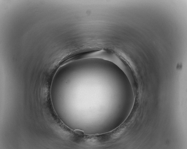 X0000089360113200706221208