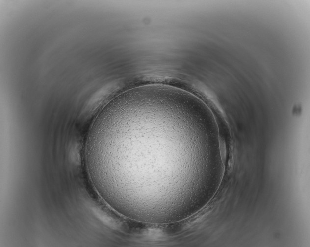 X0000089360114200706221208