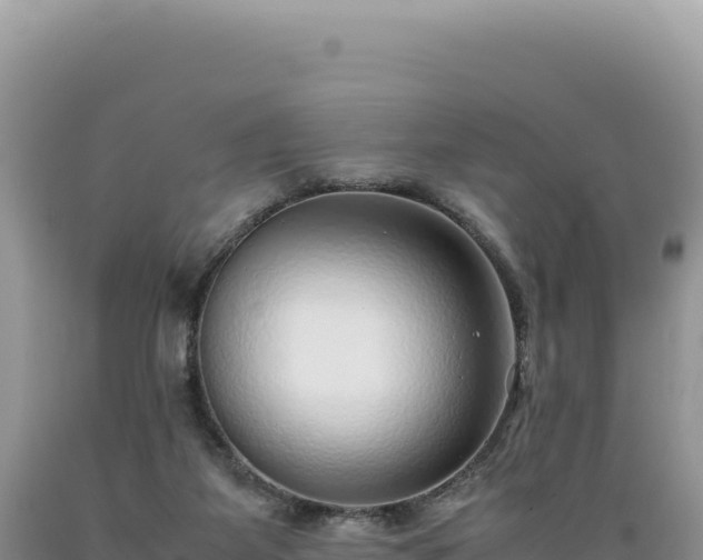 X0000089360115200706221208