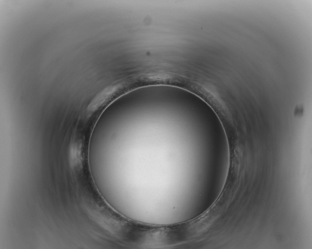 X0000089360116200706221208