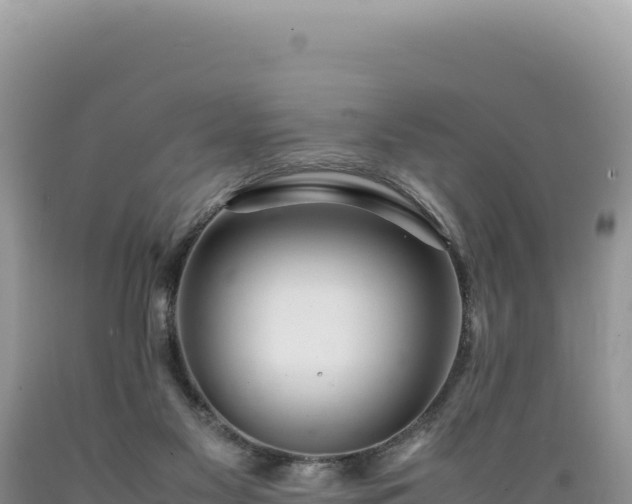 X0000089360117200706221208