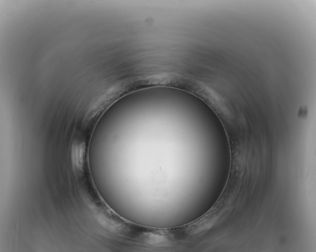 X0000089360118200706221208