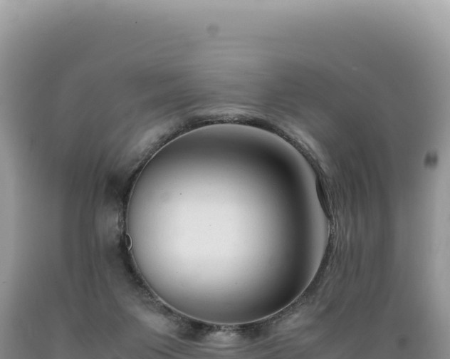 X0000089360119200706221208